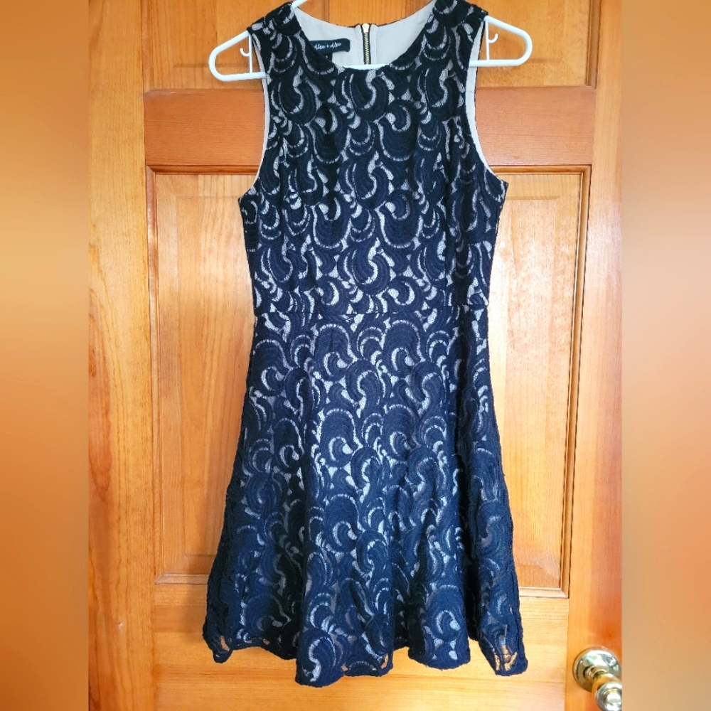 Alex & Alex Lace Dress, Beautiful Classic Black, Wonderful Condition, Size 2